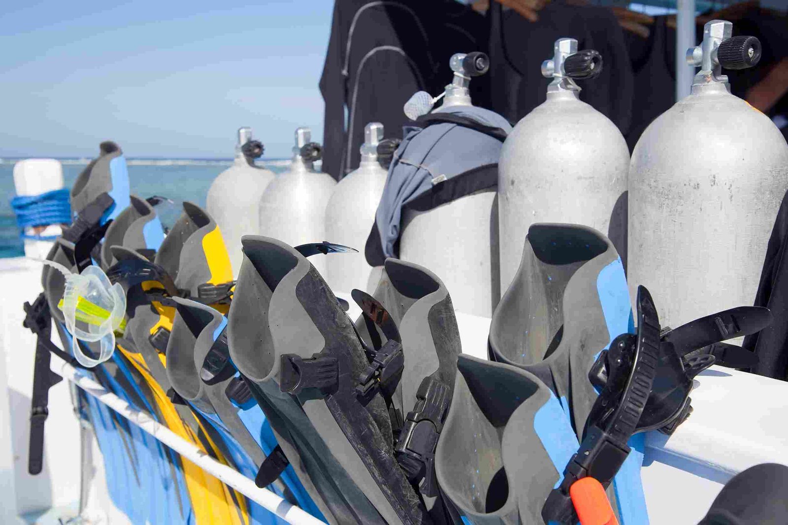 Scuba Diving SEO: A Complete Guide to Ranking Your Dive Business on Google